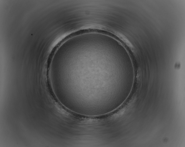X0000096660877200802051216