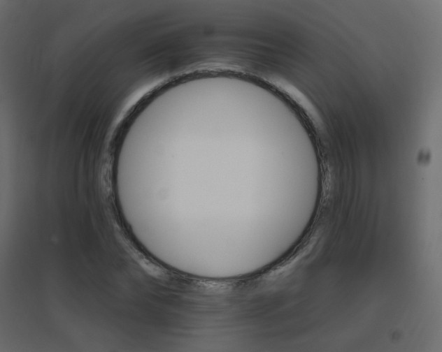 X0000096660878200802051216
