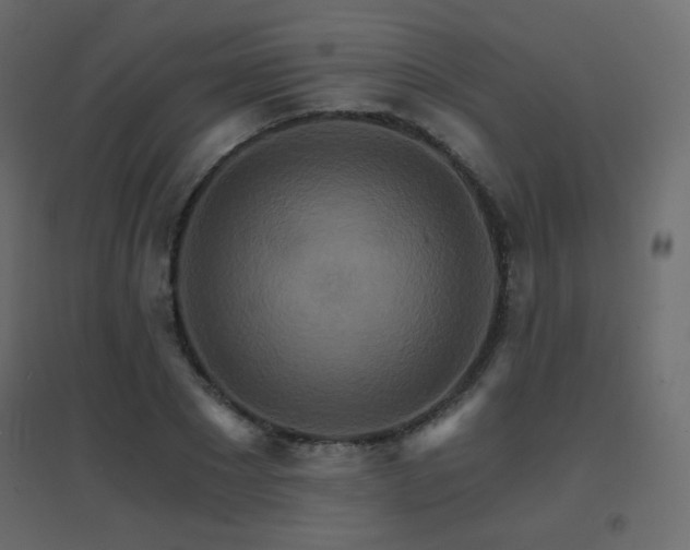 X0000096660881200802051216