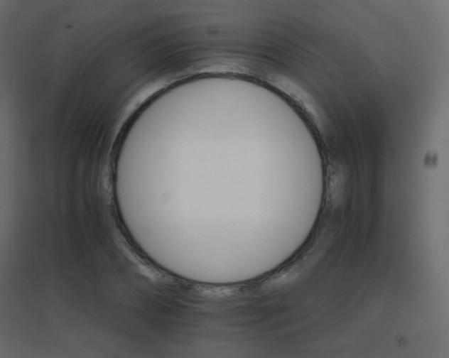 X0000096660882200802051216