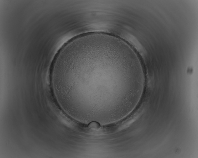 X0000096660883200802051216