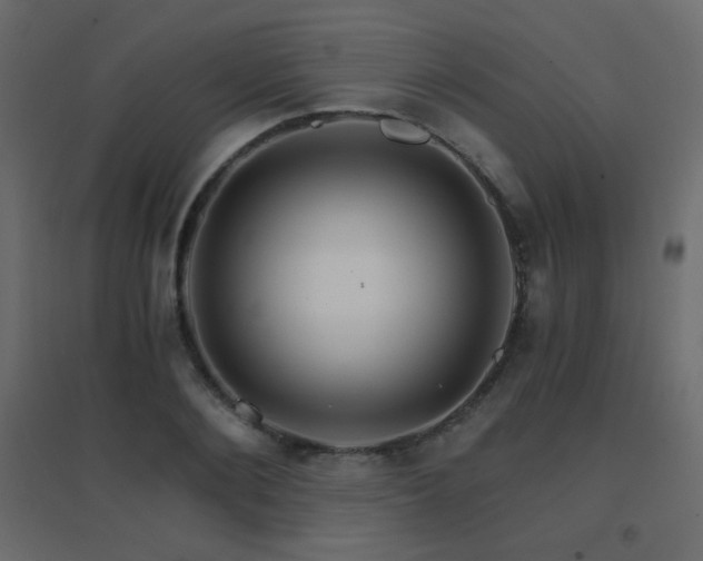 X0000096660884200802051216