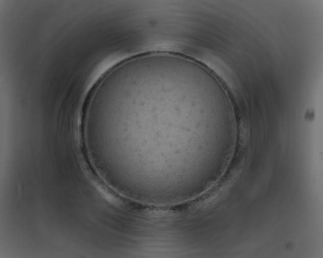 X0000096660886200802051216