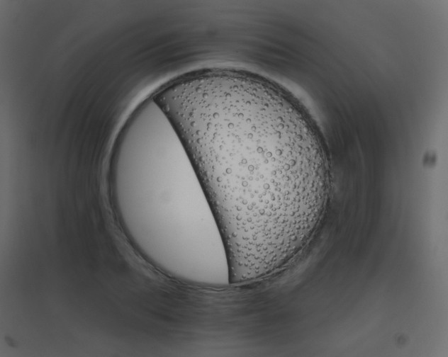 X0000096660887200802051216