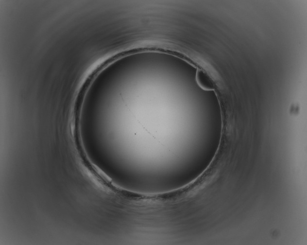X0000096660888200802051216