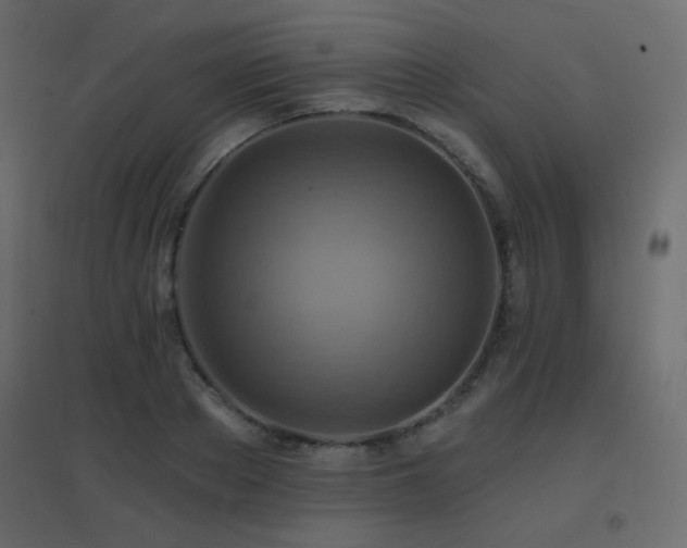X0000096660889200802051216
