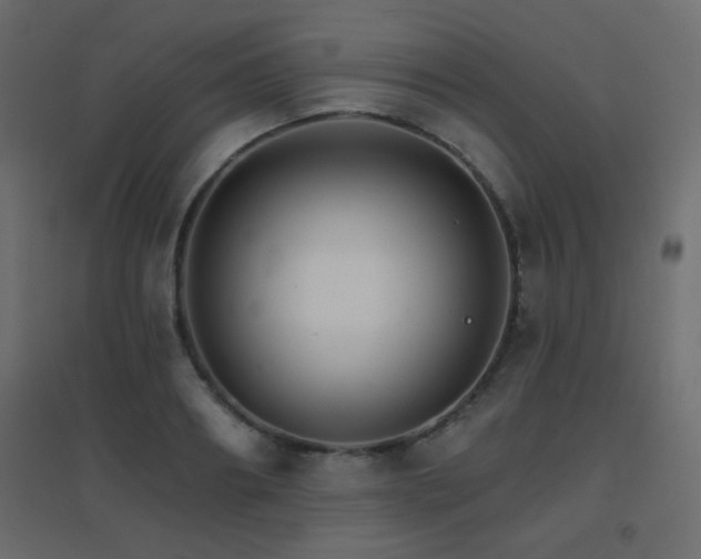 X0000096660890200802051216
