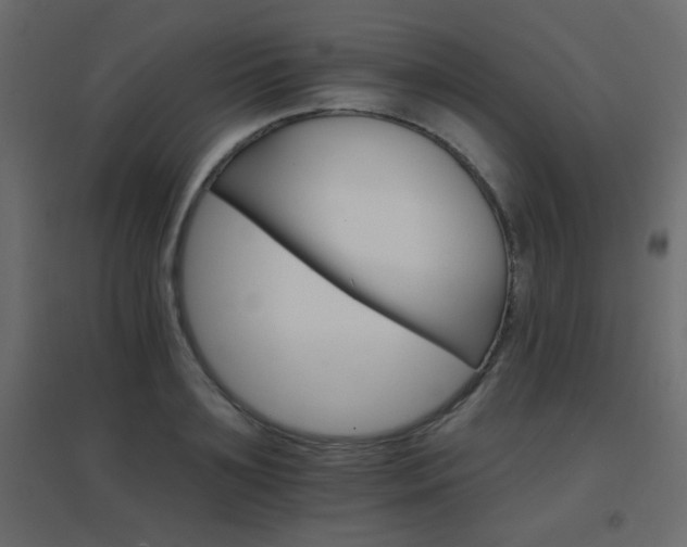X0000096660891200802051216