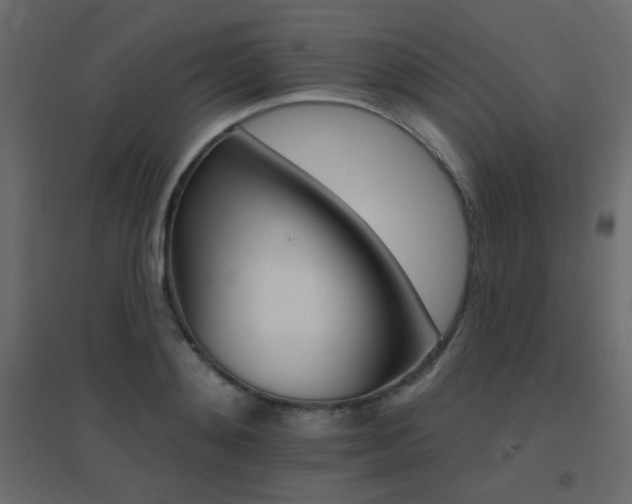 X0000096660892200802051216