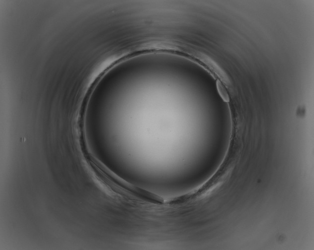 X0000096660893200802051216