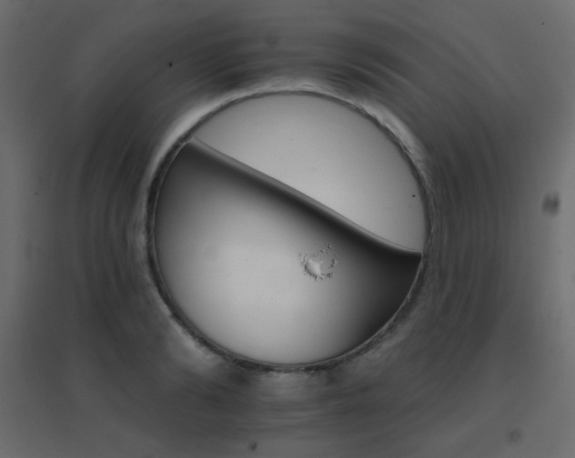 X0000096660894200802051216