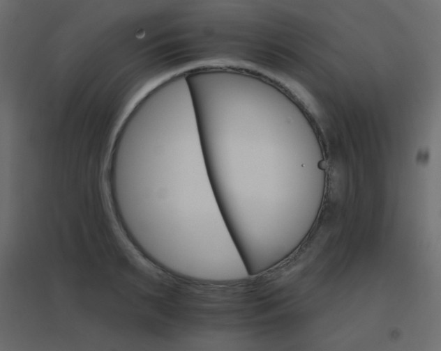 X0000096660895200802051216