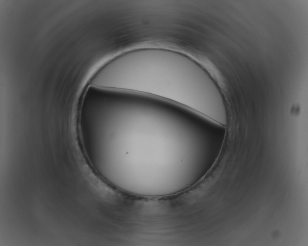 X0000096660896200802051216