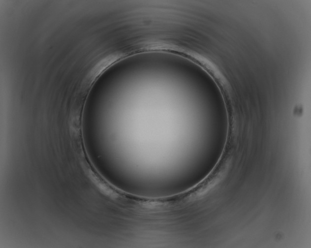 X0000096660897200802051216