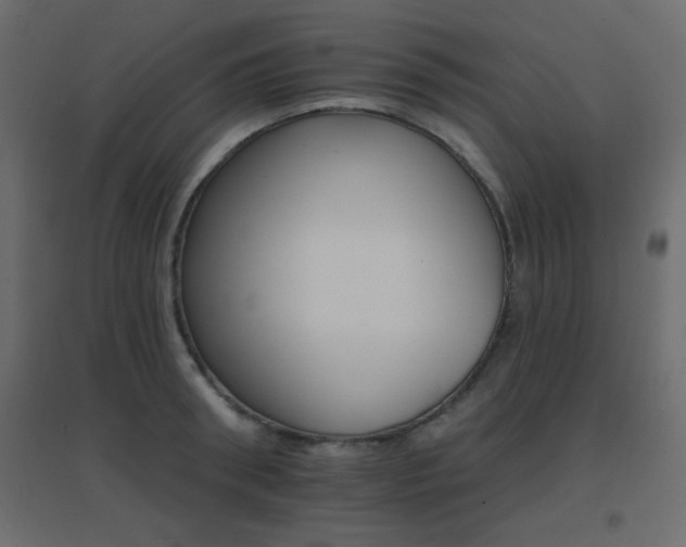 X0000096660898200802051216