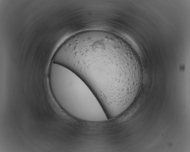 X0000096660899200802051216