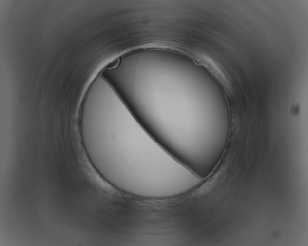 X0000096660900200802051216