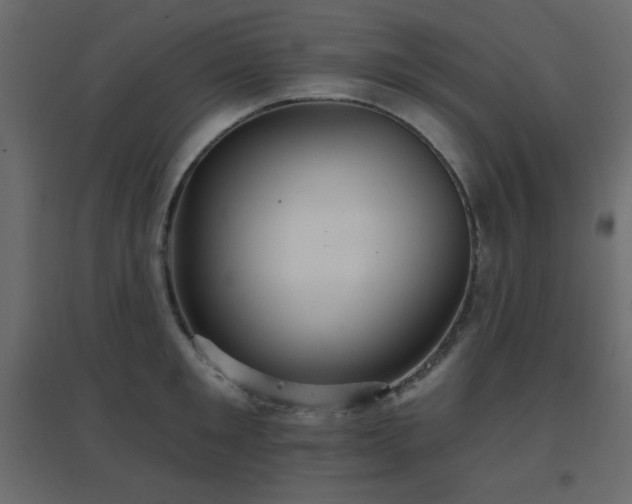 X0000096660901200802051216