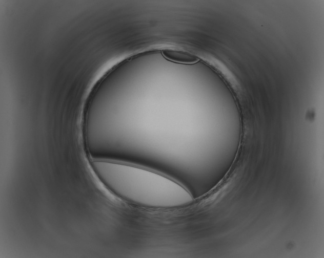 X0000096660902200802051216
