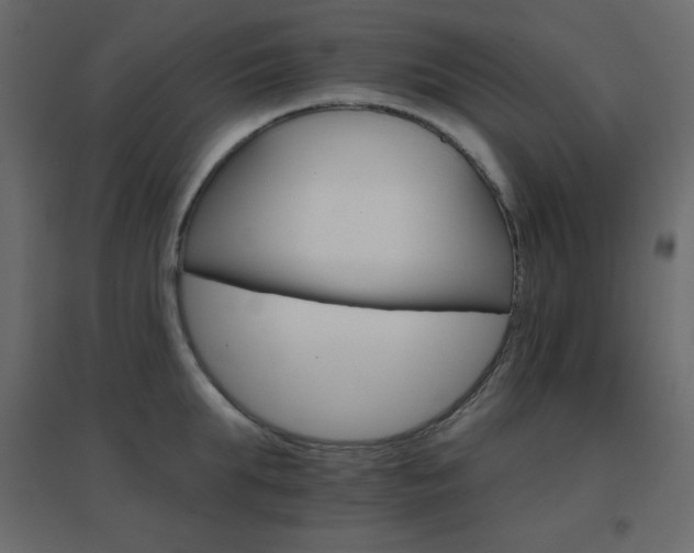X0000096660903200802051216