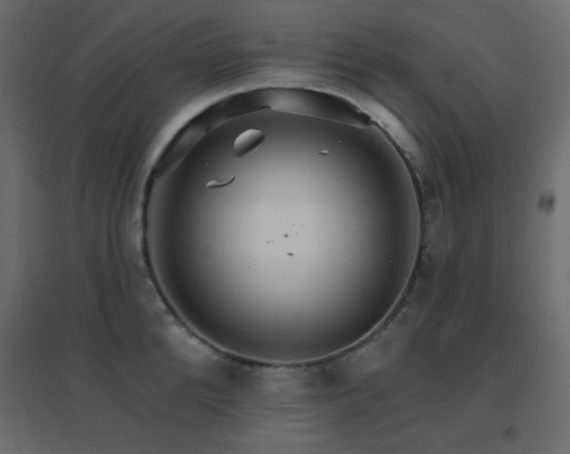X0000096660904200802051216