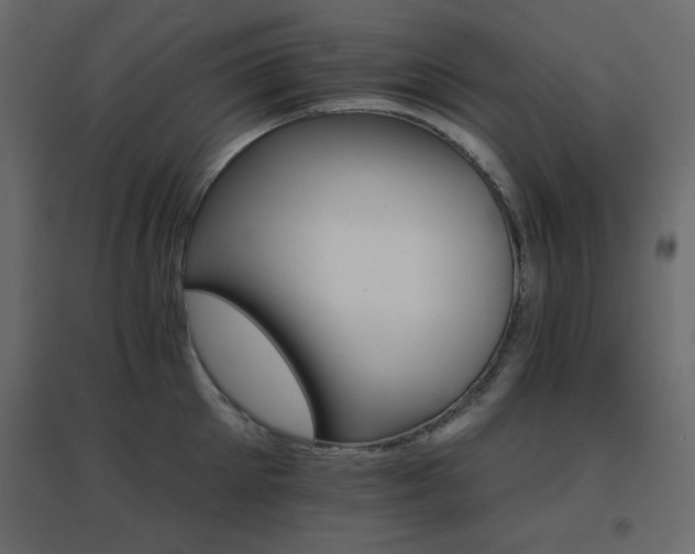 X0000096660905200802051216