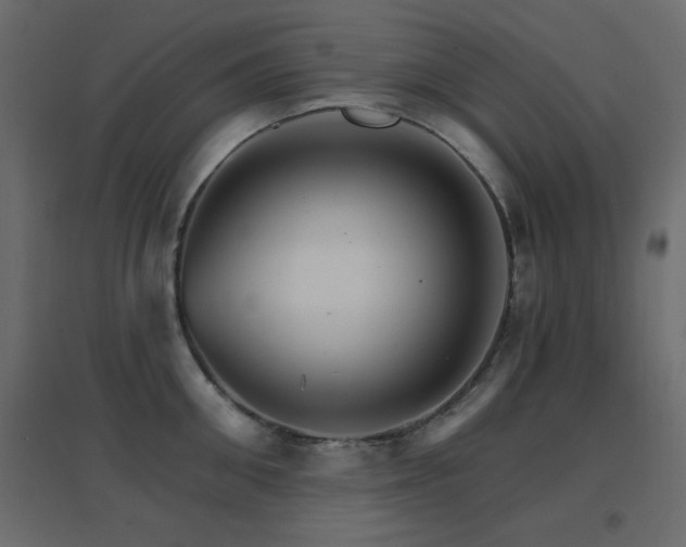 X0000096660906200802051216