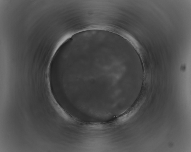 X0000096660907200802051215