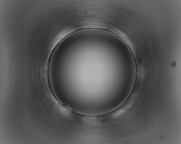 X0000096660909200802051215