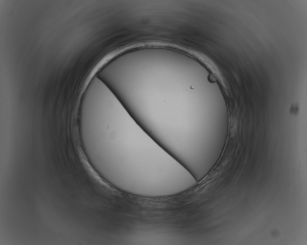 X0000096660911200802051215