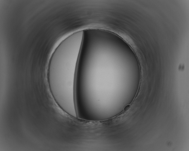 X0000096660912200802051215