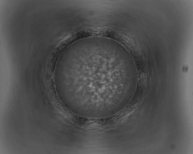 X0000096660913200802051215