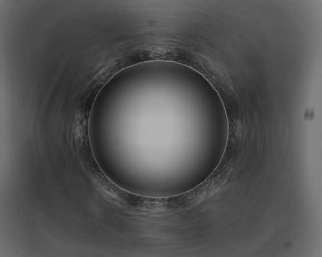 X0000096660914200802051215