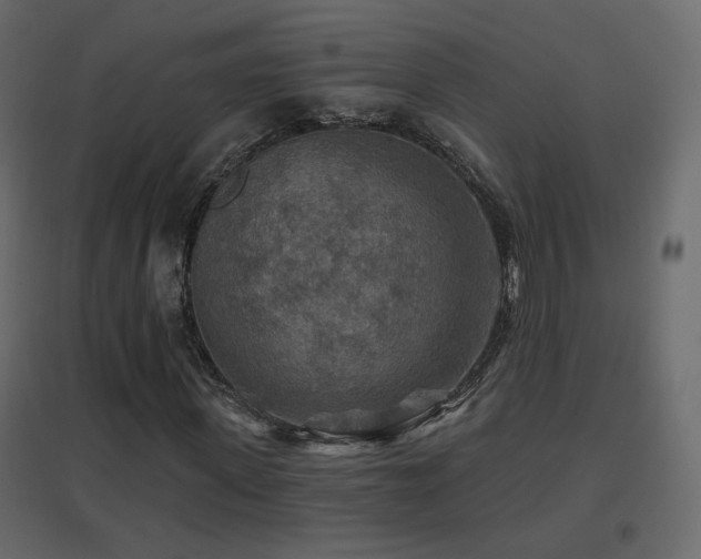 X0000096660915200802051215