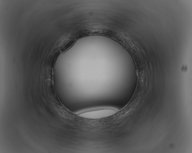 X0000096660916200802051215