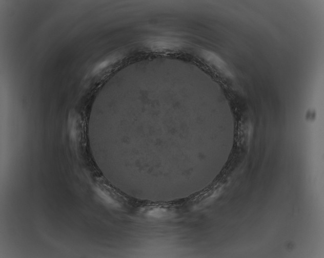 X0000096660917200802051215