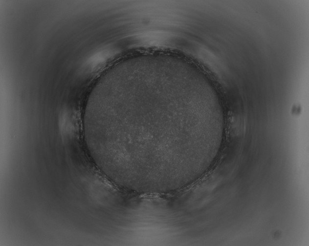 X0000096660918200802051215