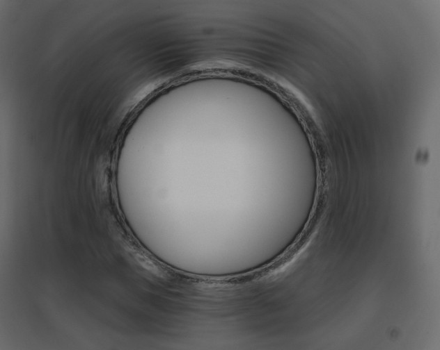 X0000096660921200802051215
