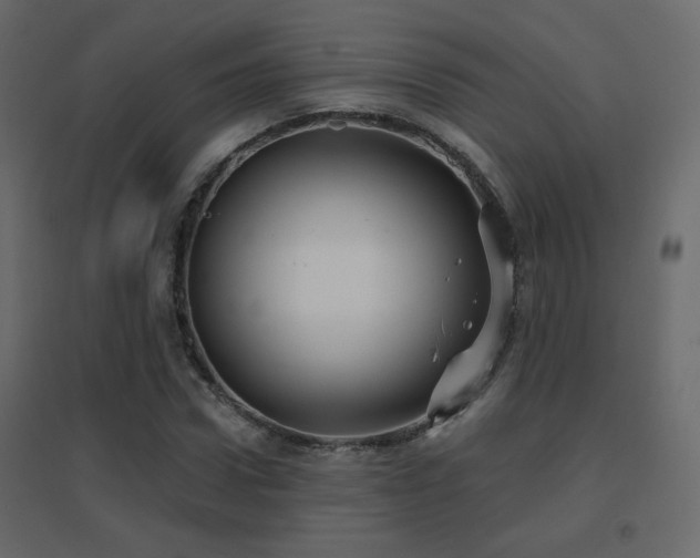 X0000096660922200802051215