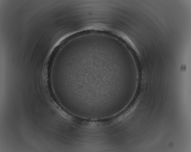 X0000096660923200802051215