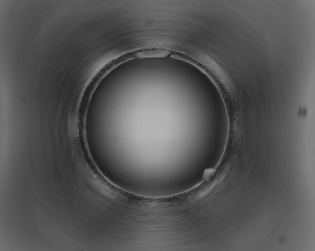 X0000096660924200802051215