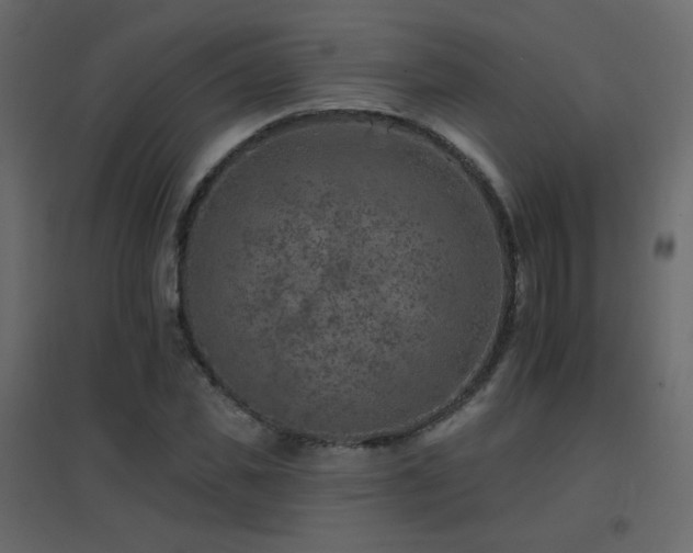 X0000096660925200802051215