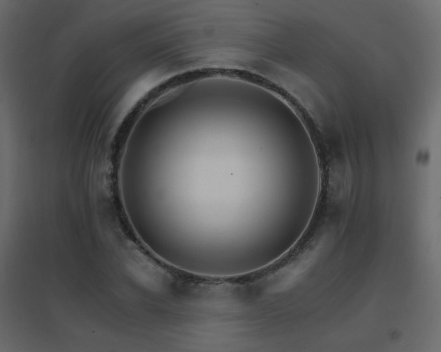X0000096660926200802051215