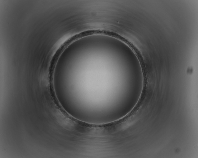 X0000096660927200802051215