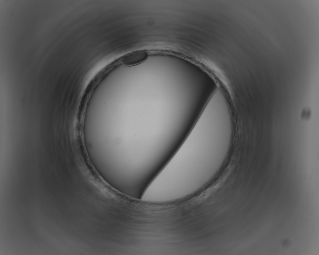 X0000096660928200802051215