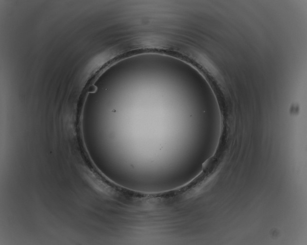 X0000096660930200802051215