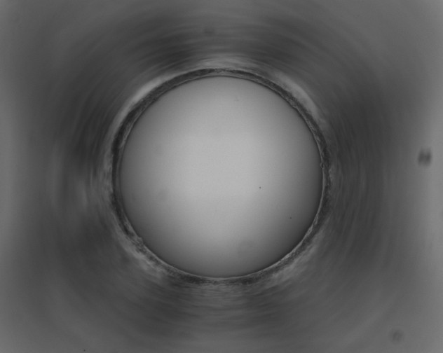 X0000096660931200802051215