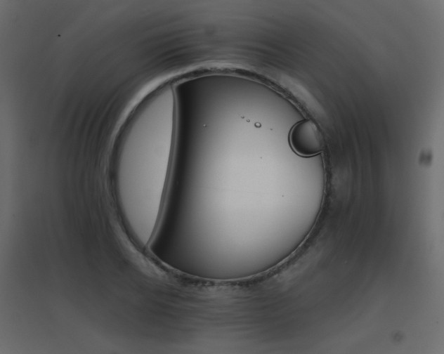 X0000096660934200802051215