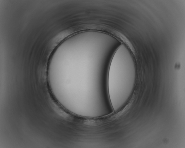 X0000096660938200802051215