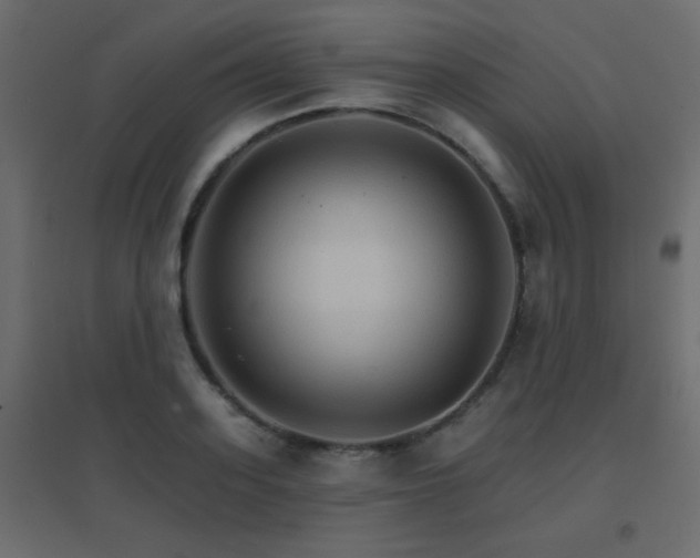 X0000096660939200802051215